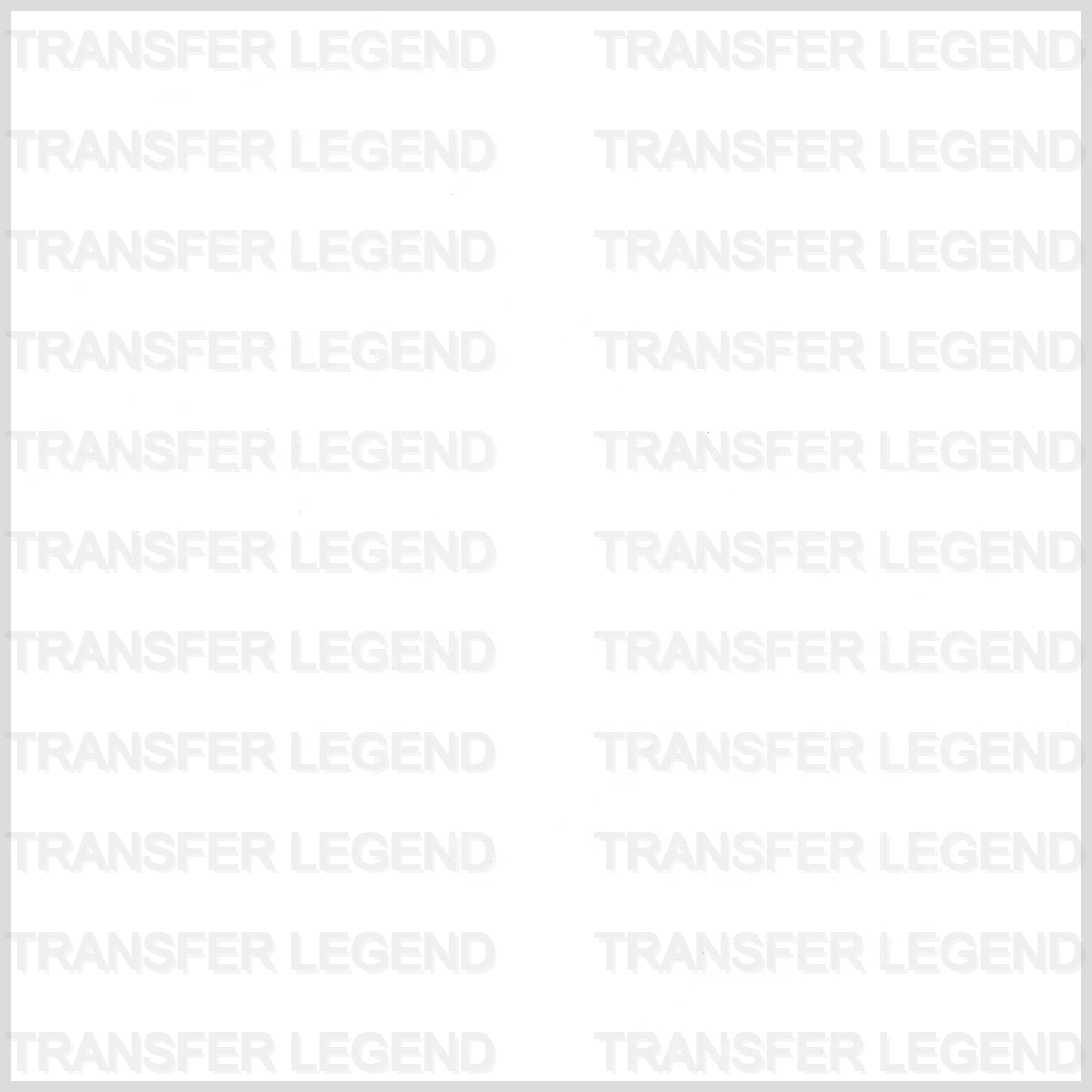 Floral Mama Bear - Pregnancy Gender Reveal - Mom Life Design - DTF heat transfer - transferlegend