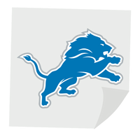 DETROIT LIONS