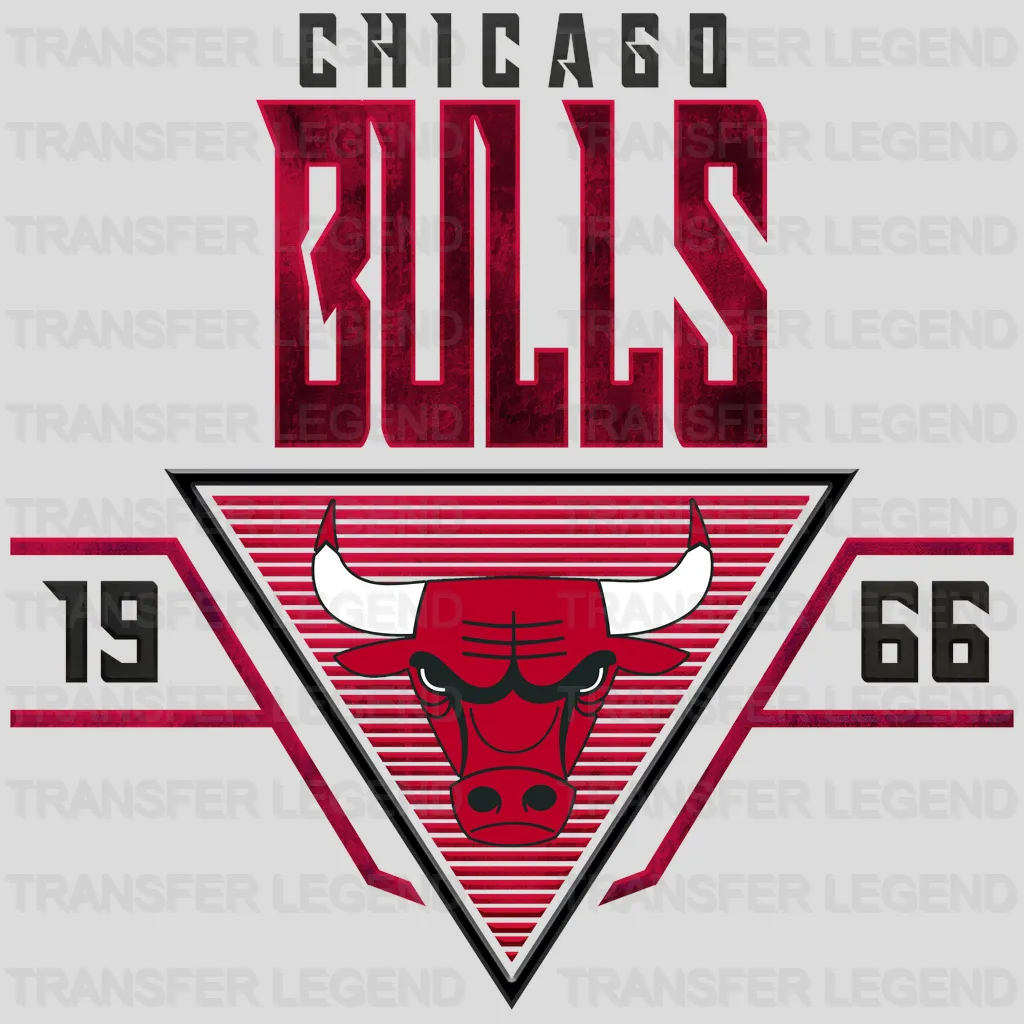 Chicago Bulls NBA Est 1966 DTF Iron On Transfer